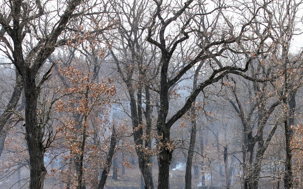 U.S. Forest Service-Fort McCoy partnership leads to effective beginning to 2026 prescribed burn season on post