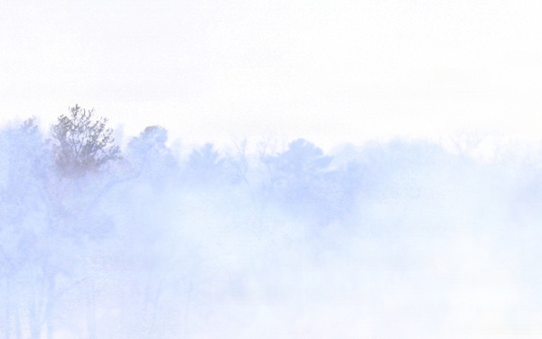 U.S. Forest Service-Fort McCoy partnership leads to effective beginning to 2026 prescribed burn season on post