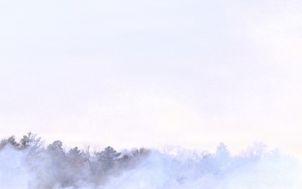 U.S. Forest Service-Fort McCoy partnership leads to effective beginning to 2026 prescribed burn season on post