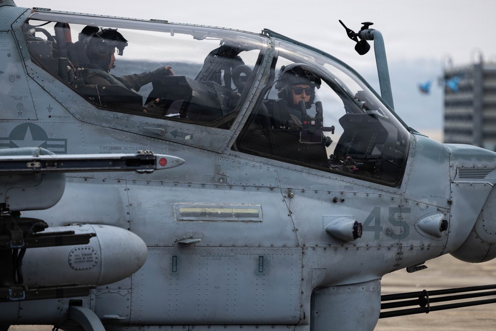 HMLA-369 provides simulated close air support