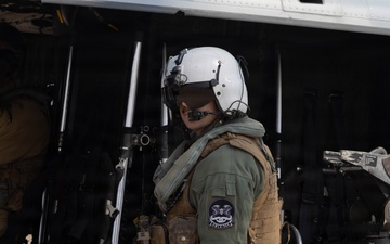 HMLA-369 provides simulated close air support