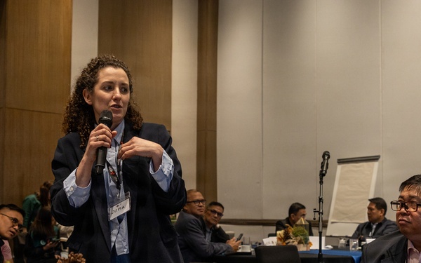 U.S. personnel, Philippine Officials, host civil-military crisis response workshop