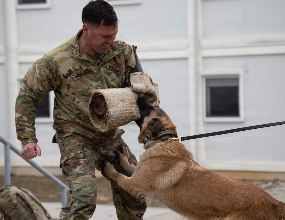Task Force Gator Chief of Staff interacts with military police K9s during KFOR 36