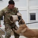 Task Force Gator Chief of Staff interacts with military police K9s during KFOR 36