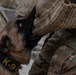 Task Force Gator Chief of Staff interacts with military police K9s during KFOR 36