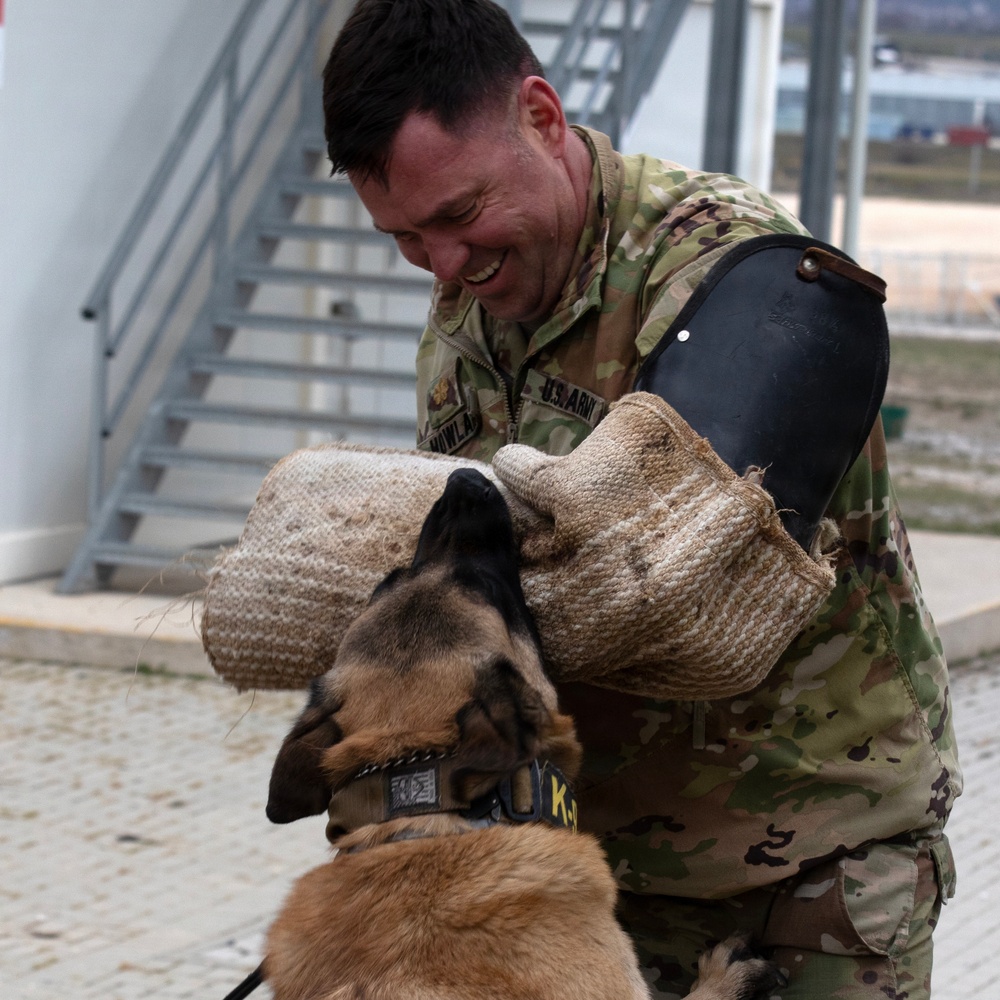 Task Force Gator Chief of Staff interacts with military police K9s during KFOR 36