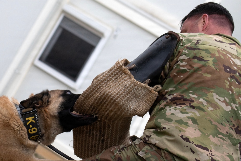 Task Force Gator Chief of Staff interacts with military police K9s during KFOR 36