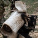 Task Force Gator Chief of Staff interacts with military police K9s during KFOR 36