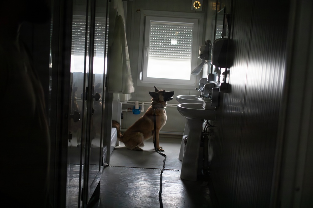 Task Force Gator Chief of Staff interacts with military police K9s during KFOR 36