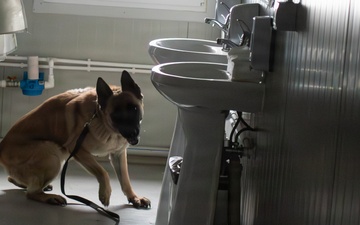 Task Force Gator Chief of Staff interacts with military police K9s during KFOR 36