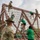 U.S. Army Experience