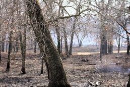 U.S. Forest Service-Fort McCoy partnership leads to effective beginning to 2026 prescribed burn season on post