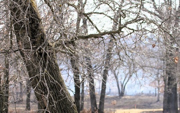 Prescribed burns at Fort McCoy help control invasive species, improves habitat