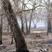 U.S. Forest Service-Fort McCoy partnership leads to effective beginning to 2026 prescribed burn season on post
