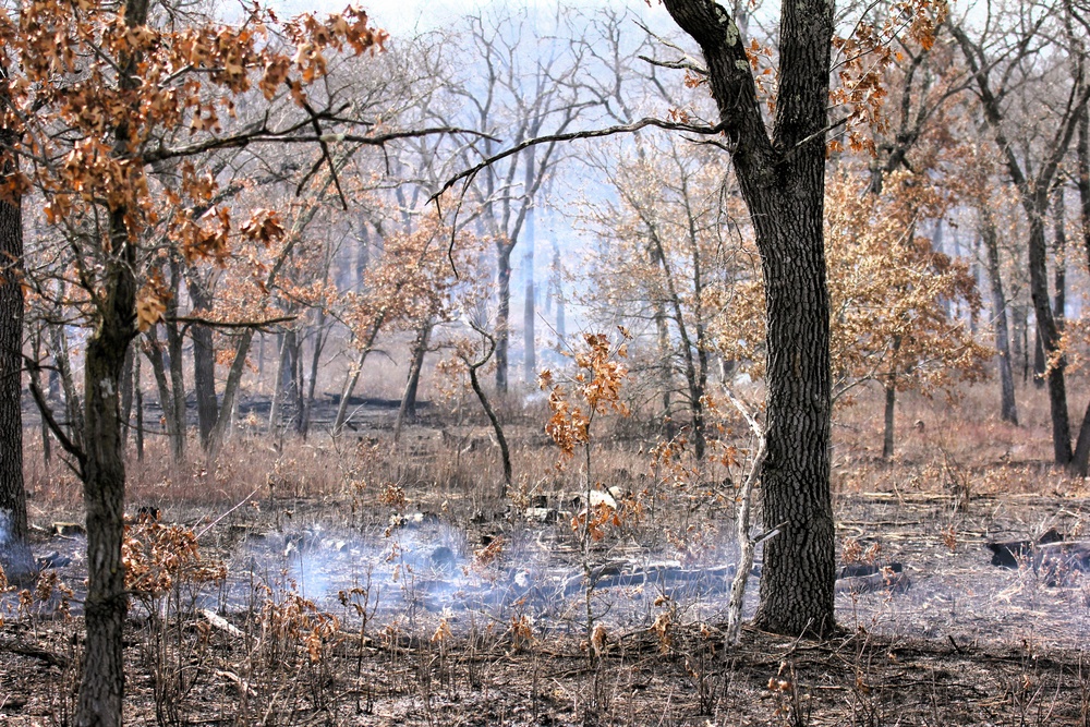 U.S. Forest Service-Fort McCoy partnership leads to effective beginning to 2026 prescribed burn season on post