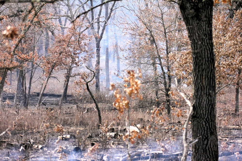 U.S. Forest Service-Fort McCoy partnership leads to effective beginning to 2026 prescribed burn season on post