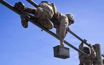 Bravo Company Crucible