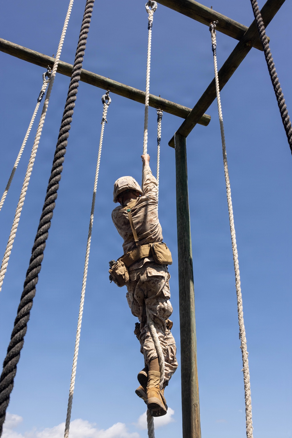 Bravo Company Crucible