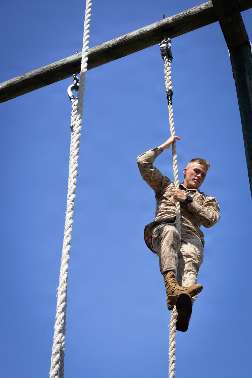 Bravo Company Crucible