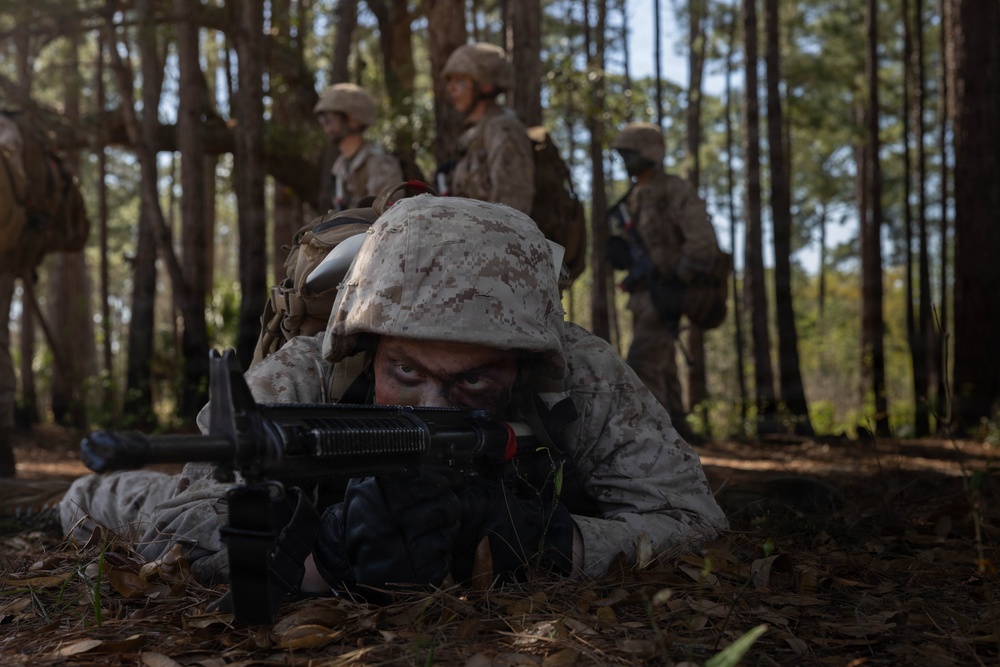 Bravo Company Crucible