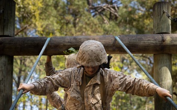 Bravo Company Crucible