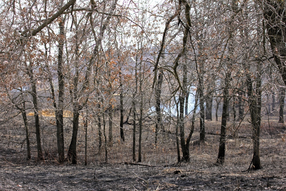 U.S. Forest Service-Fort McCoy partnership leads to effective beginning to 2026 prescribed burn season on post