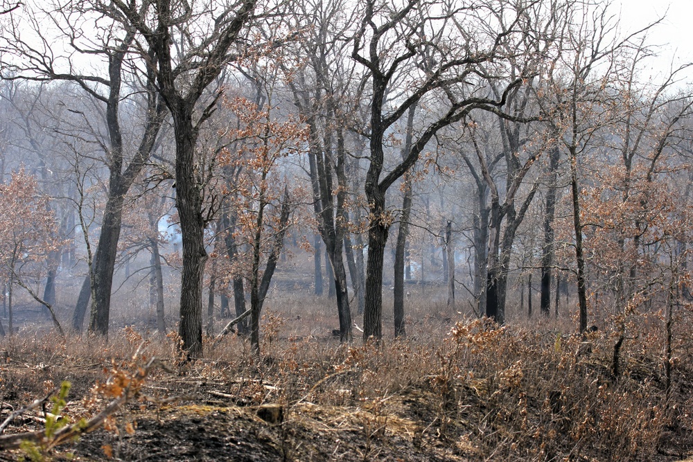 U.S. Forest Service-Fort McCoy partnership leads to effective beginning to 2026 prescribed burn season on post