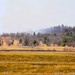 U.S. Forest Service-Fort McCoy partnership leads to effective beginning to 2026 prescribed burn season on post