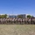 U.S. Army Experience