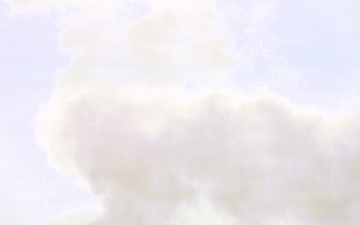 U.S. Forest Service-Fort McCoy partnership leads to effective beginning to 2026 prescribed burn season on post