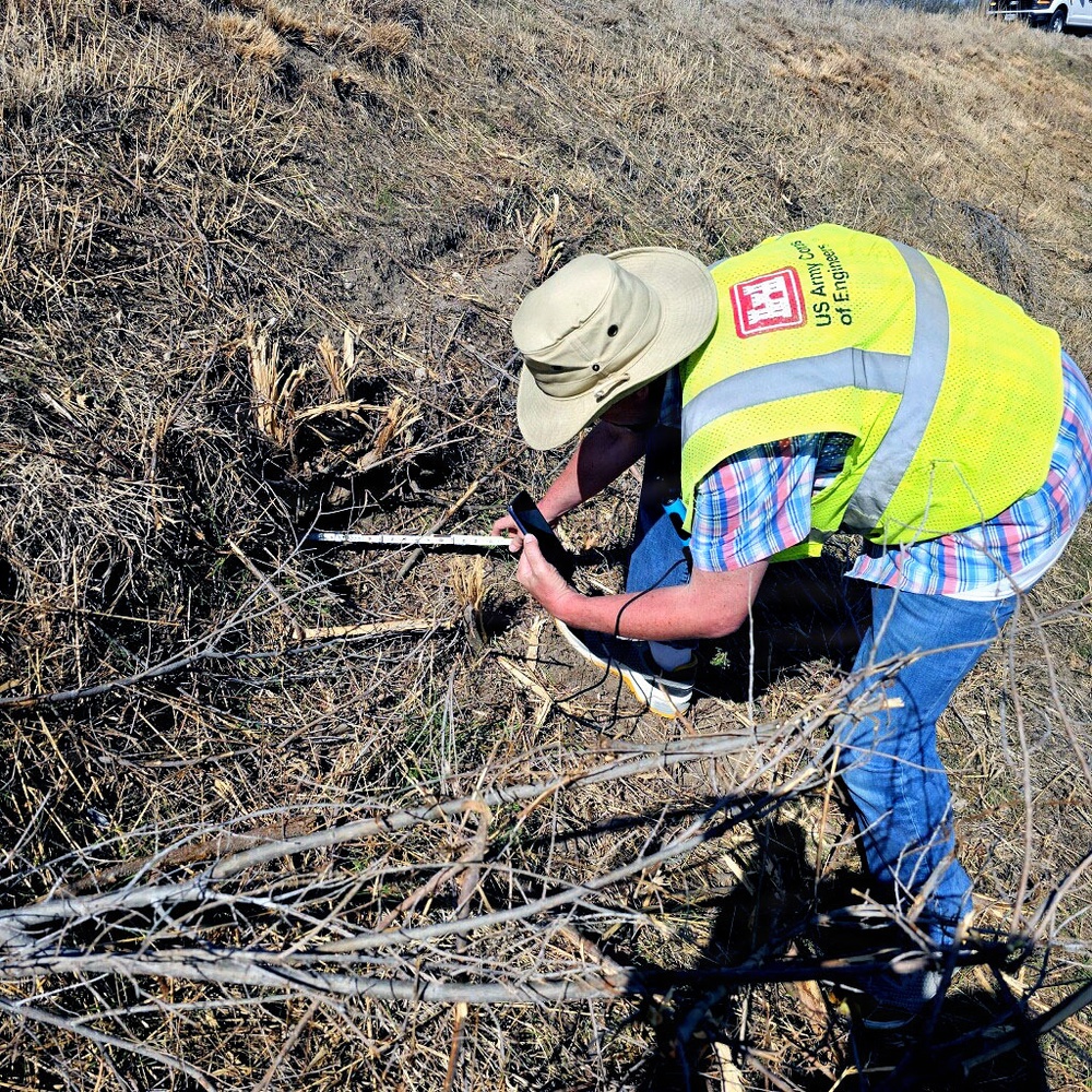 Scenes from the levee