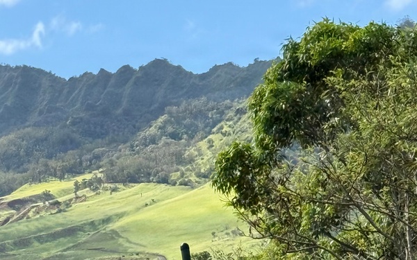 Lightning Surge 2: 25th Infantry Division