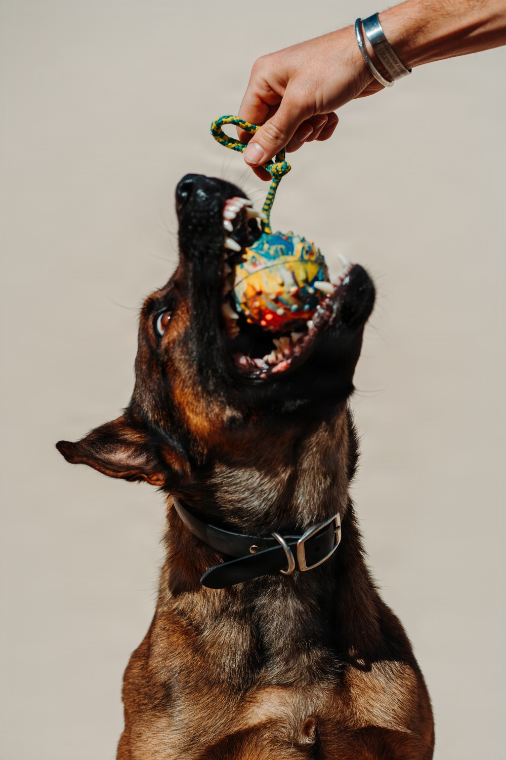 1SFG(A) Silent Eagle 2026