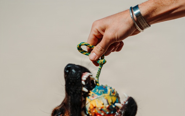 1SFG(A) Silent Eagle 2026