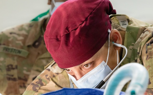 Healing Paws, Building Trust: KFOR Provides Veterinary Care at Camp Bondsteel