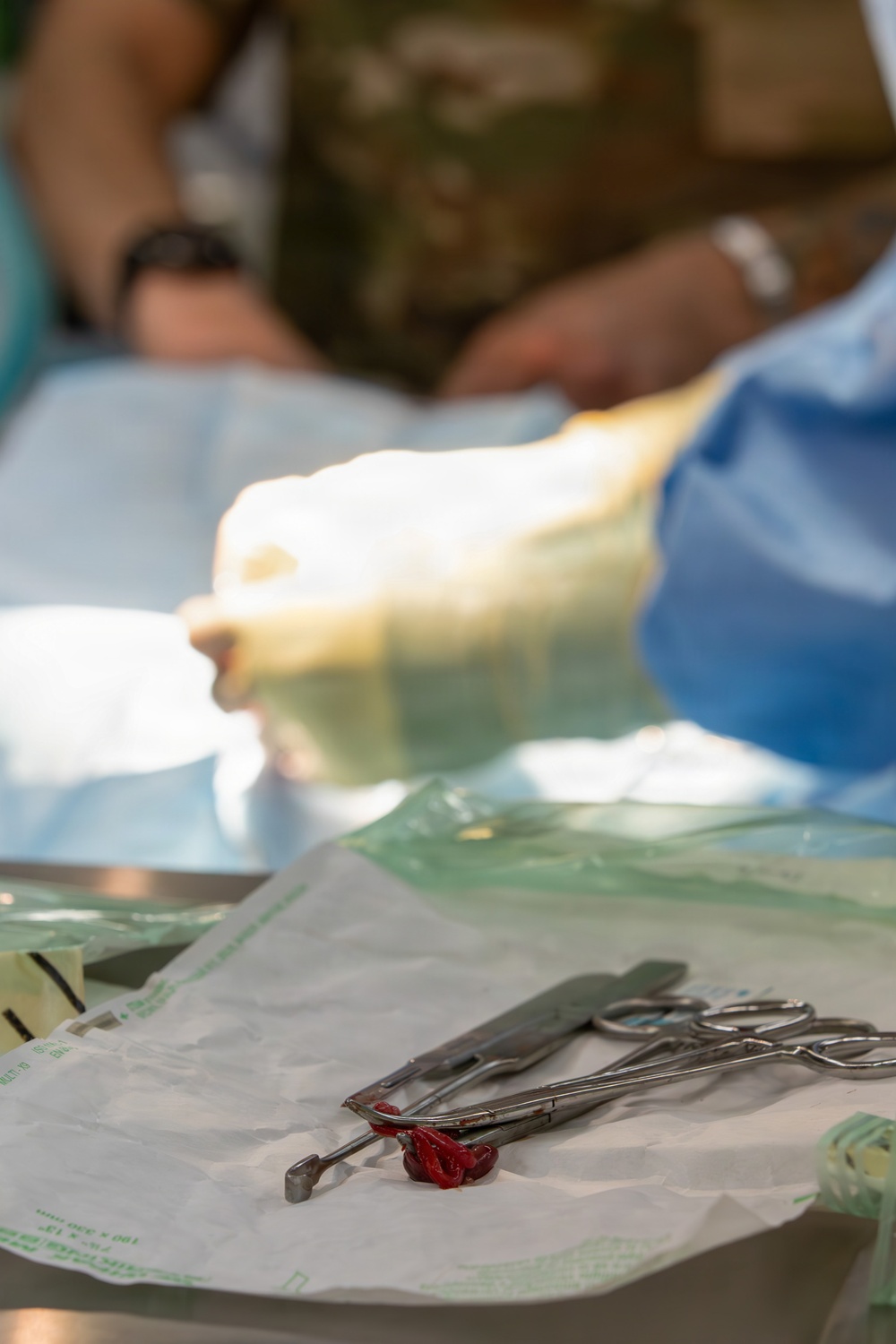 Healing Paws, Building Trust: KFOR Provides Veterinary Care at Camp Bondsteel