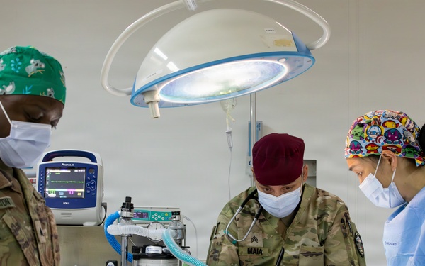 Healing Paws, Building Trust: KFOR Provides Veterinary Care at Camp Bondsteel