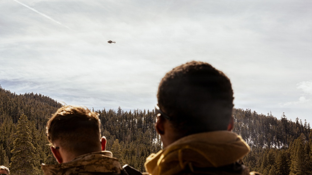 MTX 2-26: Charlie Company, 1st Battalion, 2nd Marine Regiment casualty evacuation training