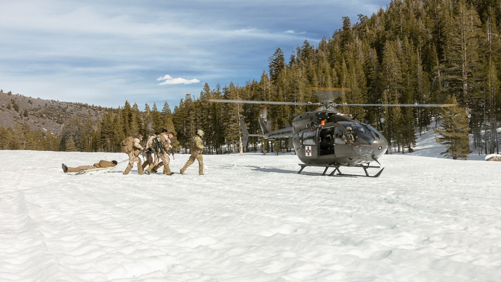 MTX 2-26: Charlie Company, 1st Battalion, 2nd Marine Regiment casualty evacuation training