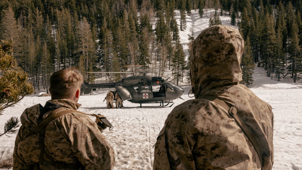 MTX 2-26: Charlie Company, 1st Battalion, 2nd Marine Regiment casualty evacuation training
