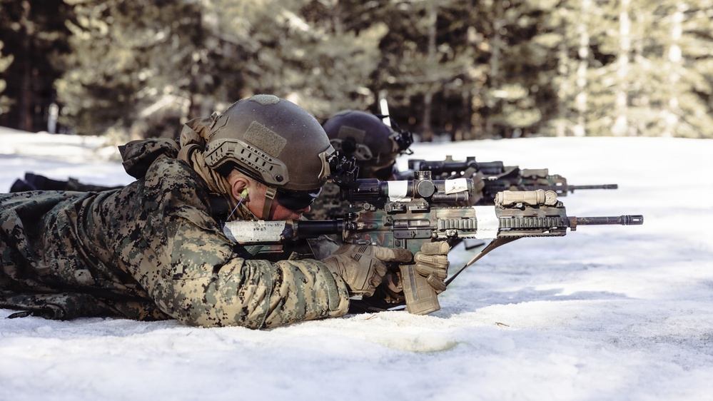 MTX 2-26: Alpha Company, 1st Battalion, 2nd Marine Regiment live-fire unknown distance range
