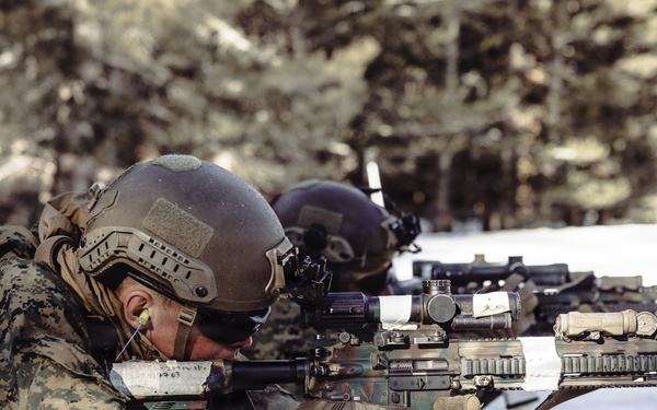 MTX 2-26: Alpha Company, 1st Battalion, 2nd Marine Regiment live-fire unknown distance range