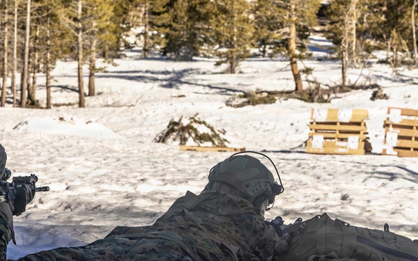 MTX 2-26: Alpha Company, 1st Battalion, 2nd Marine Regiment live-fire unknown distance range