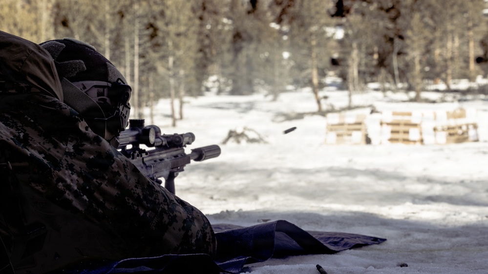 MTX 2-26: Alpha Company, 1st Battalion, 2nd Marine Regiment live-fire unknown distance range