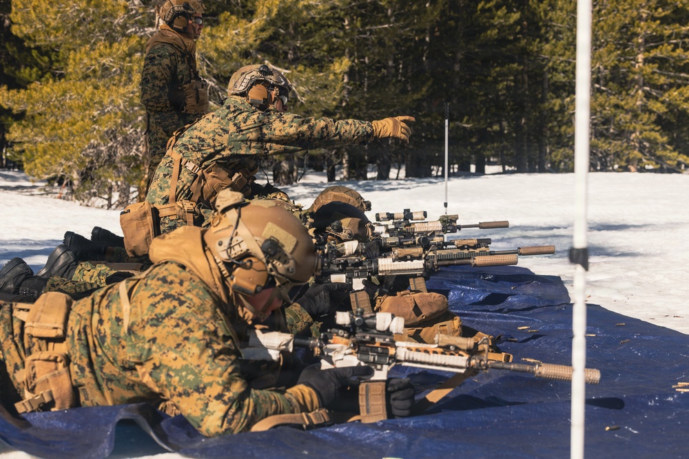 MTX 2-26: Alpha Company, 1st Battalion, 2nd Marine Regiment live-fire unknown distance range