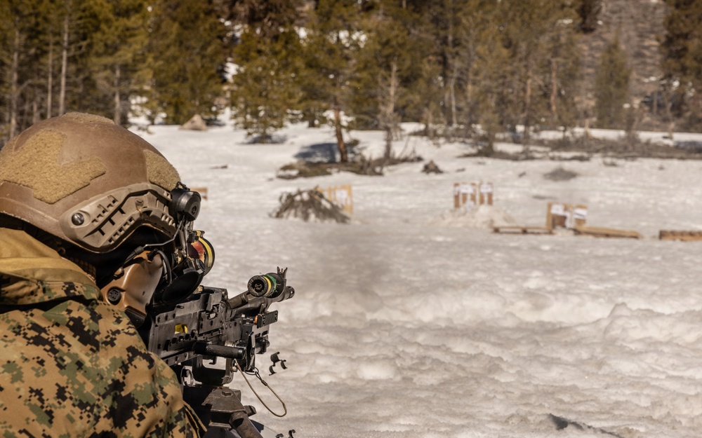 MTX 2-26: Alpha Company, 1st Battalion, 2nd Marine Regiment live-fire unknown distance range