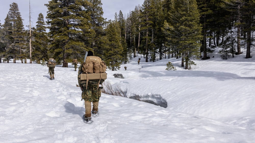 MTX 2-26: Alpha Company, 1st Battalion, 2nd Marine Regiment Patrol