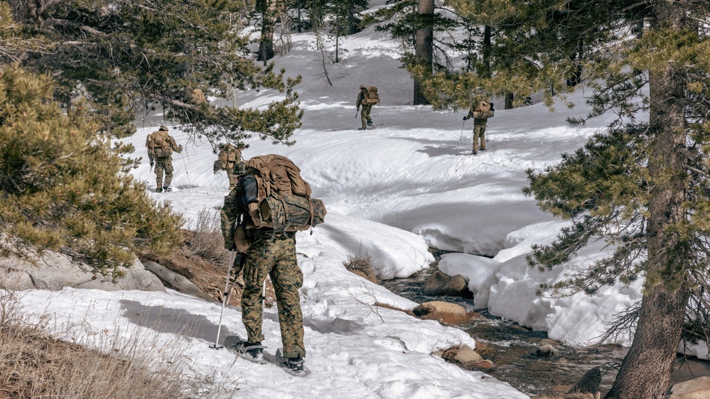 MTX 2-26: Alpha Company, 1st Battalion, 2nd Marine Regiment Patrol