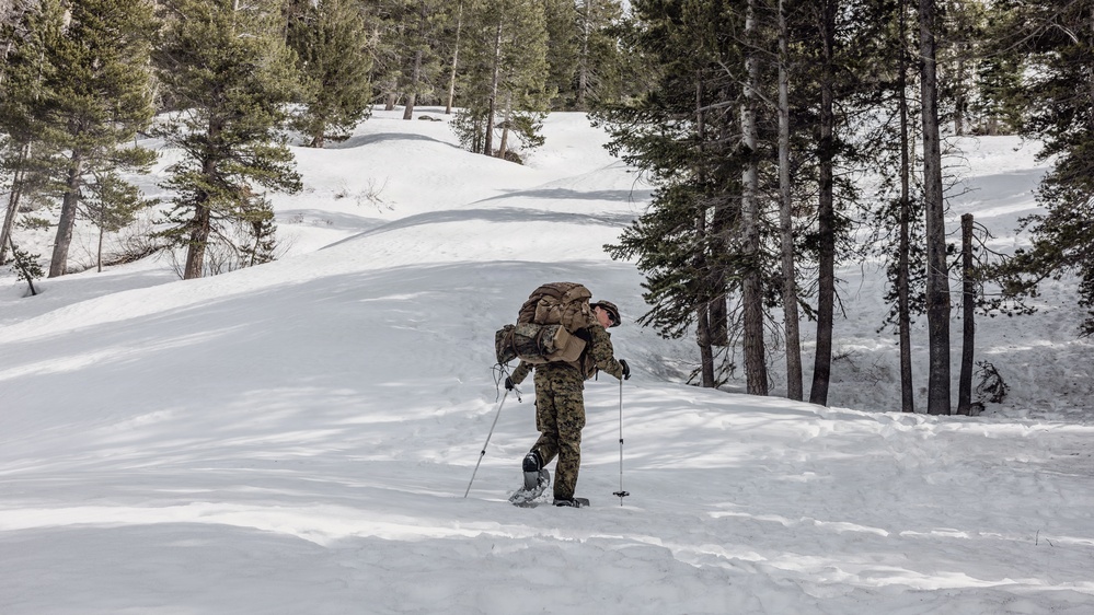 MTX 2-26: Alpha Company, 1st Battalion, 2nd Marine Regiment Patrol