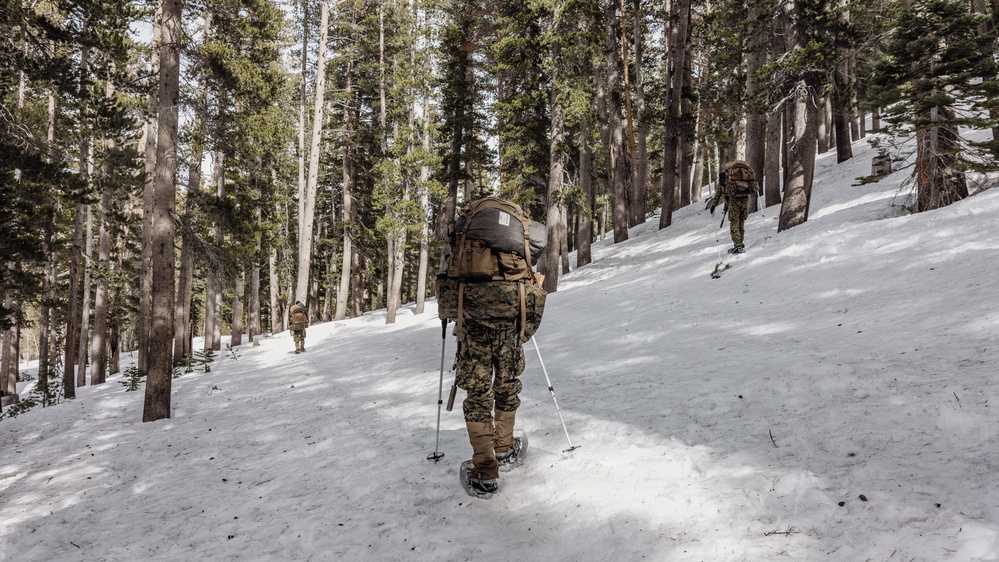 MTX 2-26: Alpha Company, 1st Battalion, 2nd Marine Regiment Patrol